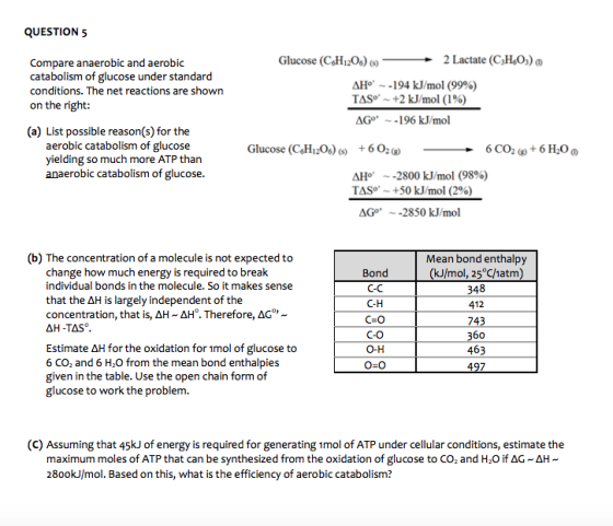 QUESTION 5 Glucose (C&H1206) 2 Lactate (C H,Os) o Compare anaerobic and aerobic catabolism of glucose under standard conditio