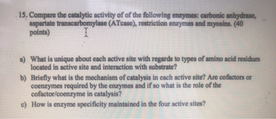 15. Compare the catalytic activity of of the following enzymes: carbonic anhydrase, aspartate transcarbomylase (ATcase), rest