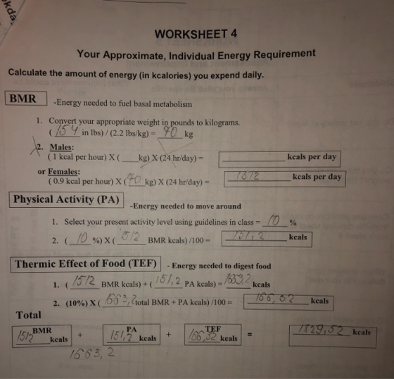 WORKSHEET 4 Your Approximate, Individual Energy Requirement Calculate the amount of energy (in kcalories) you expend daily BM