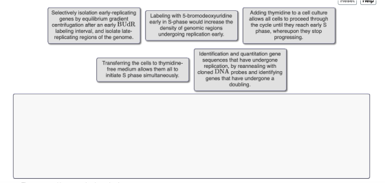 Selectively isolation early-replicatingLabeling with 5-bromodeoxyuridine genes by equilibrium gradient centrifugation after a