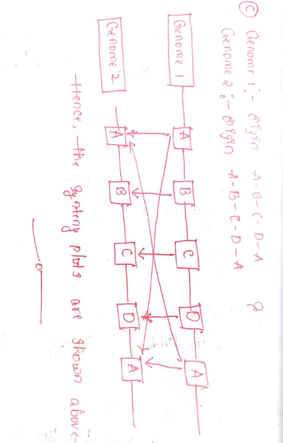 Gerome 2 -Hence,一the gt.Heny Plut 1 are grown above