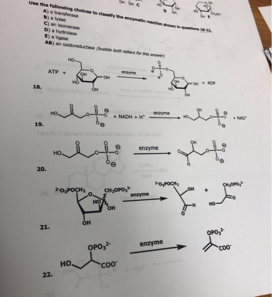 OH OHC Use the following choices to classify the enzymatic reaction shown In questions 8 A) a transferase B) a lyase C) an Is