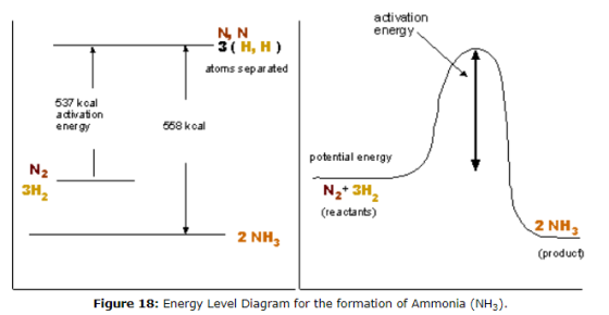 adivation energy 3( H, H atoms sep ar ated 537 kcal activation ener gy 568 kcal potential energy 2 N2+ 3H (reactants) 3H2 2 2