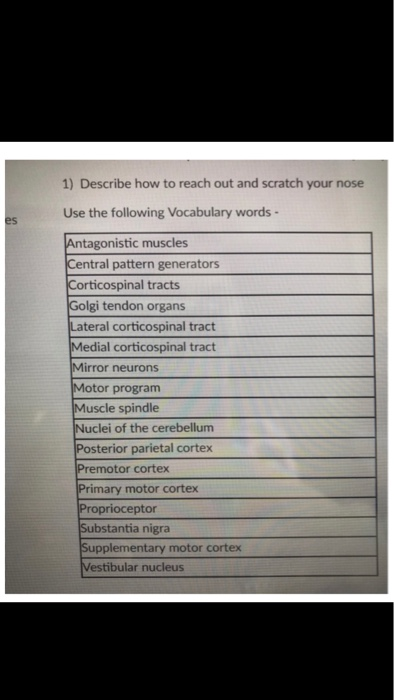 1) Describe how to reach out and scratch your nose Use the following Vocabulary words- Antagonistic muscles Central pattern g