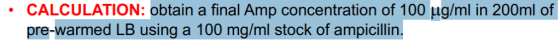 CALCULATION: obtain a final Amp concentration of 100 μg/ml in 200ml of pre-warmed LB using a 100 mg/ml stock of ampicillin.