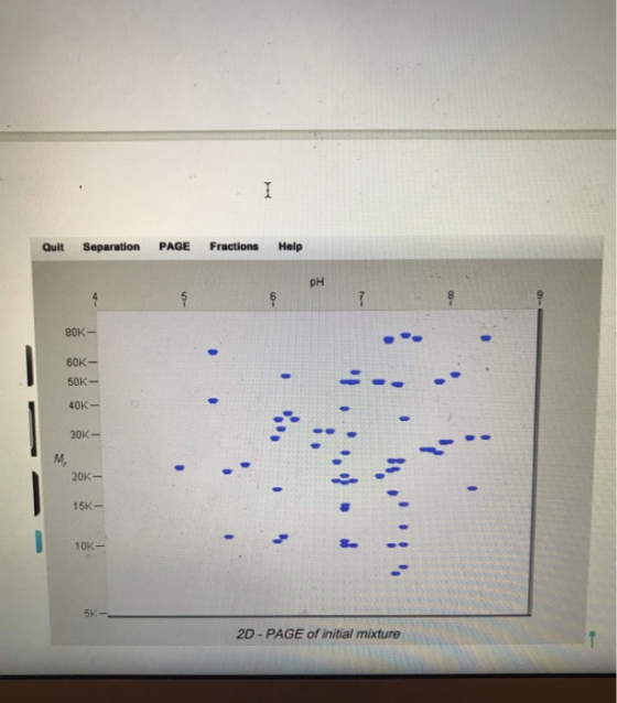Quit Separation PAGE Fractions Help pH 80K 60K 50K- 40K- 30K- 20K- 5K 10K- 5K 2D-PAGE of initial mixture