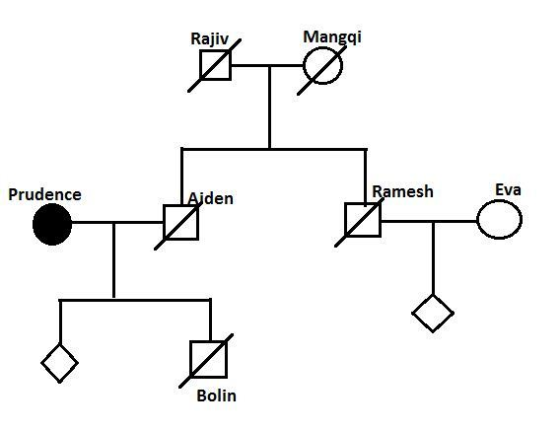 Mangqi Rajiv Eva Ramesh Prudence Aiden Bolin