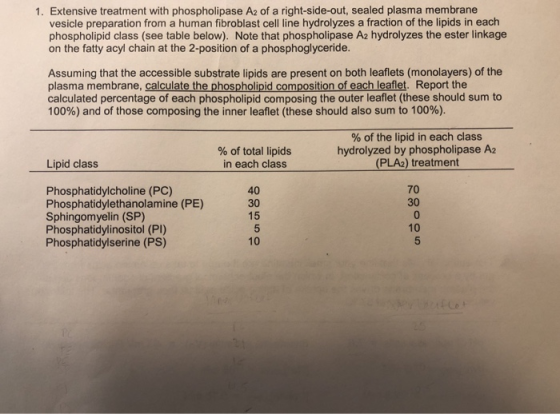 1. Extensive treatment with phospholipase A2 of a right-side-out, sealed plasma membrane vesicle preparation from a human fib