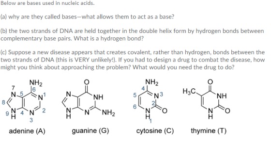 Below are bases used in nucleic acids. (a) why are they called bases-what allows them to act as a base? (b) the two strands o