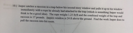 10.) Jasper catches a raccoon in a trap below his second story window and pulls it up to his window immediately with a rope h