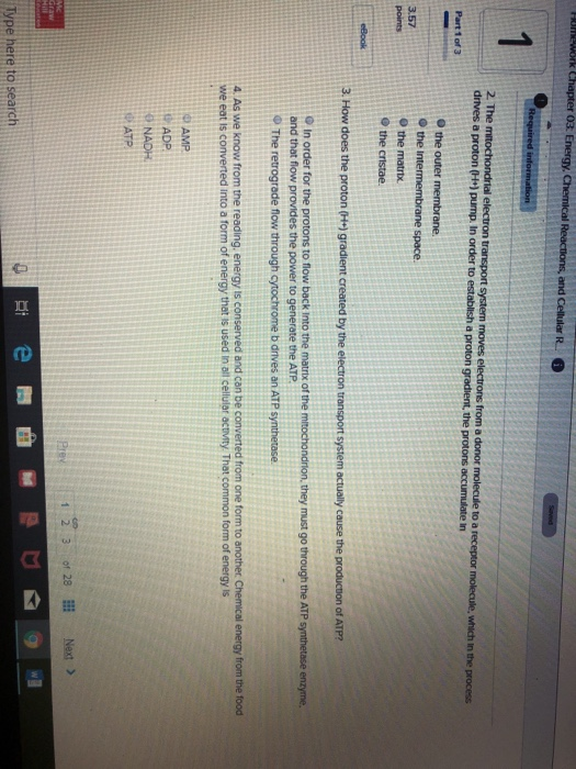 FUework Chapter 03. Energy. Chemical Reactions, and Cellular R i Saved Required information 1 2 The mitochondrial electron tr