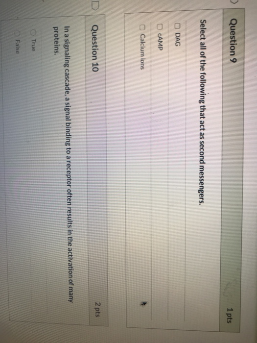 Question 9 1 pts Select all of the following that act as second messengers. D DAG CAMP Calcium ions Question 10 2 pts In a si