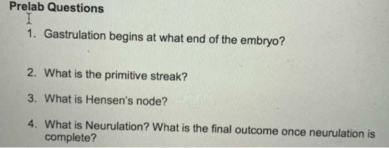 Prelab Questions 1. Gastrulation begins at what end of the embryo? 2. What is the primitive streak? 3. What is Hensens node?