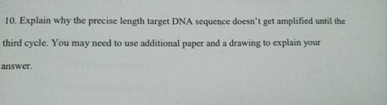 10. Explain why the precise length target DNA sequence doesnt get amplified until the third cycle. You may need to use addit