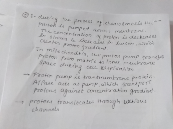 8- dueing tu precess at chomosrm psotoRs pumped acroSS anl . The cmcentration o proton is 8 troma a C ale incse aies in unen,
