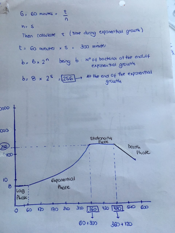 t 6=60 minutes no S (me dunng expanen thal grouth) Then calwlate t t: Go minutes 300 minute x S = being bNo0f batenca at the