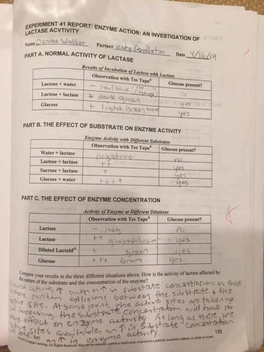 ENZYME ACTION: AN INVESTIGATION OF LACTASE ACVTIVITY AM alko- Partner RT A. NORMAL ACTIVITY OF LACTASE ame Date Results of In