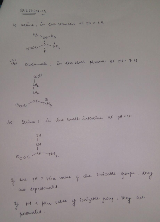 QUESTION-19 a) vaunu, anDne stomach, ar pH=1.5 codo NH SH 忖フbK, a value