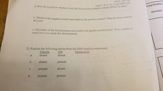 BIOL 13U Lau a. How do you know whether or not the food product samples c Labs 7, 8, 9, 10, 11 & GMO labs magnification diame