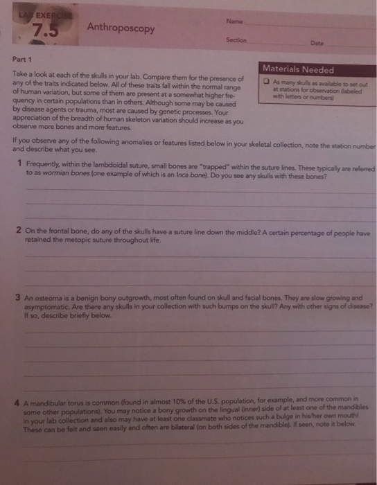 Name Anthroposcopy 7. Section Date Part 1 Materials Needed OAs many skuls as available to set out Take a look at each of the