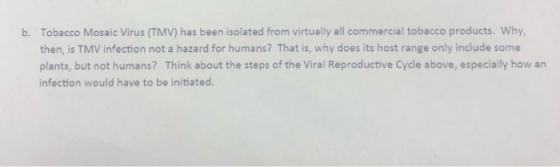 b. Tobacco Mosaic Virus (TMV) has been isolated from virtually all commercial tobacco products. Why then, is TMV infection no