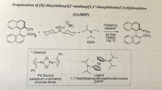 Preparation of (R)-Dicyclohexyl(2-methoxy[1,1-binaphthalen]-2-yl)phosphine (CyzMOP) BF4 HOH Palladium catalyst* OTf PCY2 +