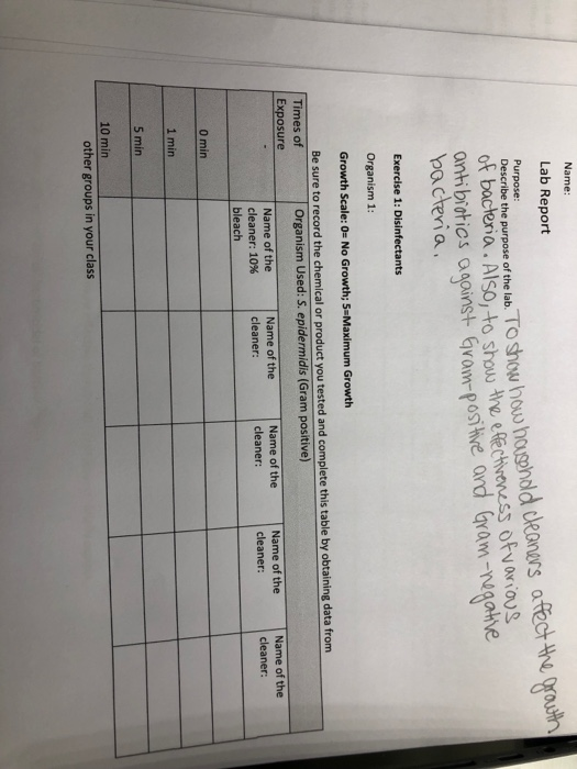 Name Lab Report Purpose: Describe the purpose of the lab of bacteria. a. Also, to show the efectivaness oFvarious onthbts aga