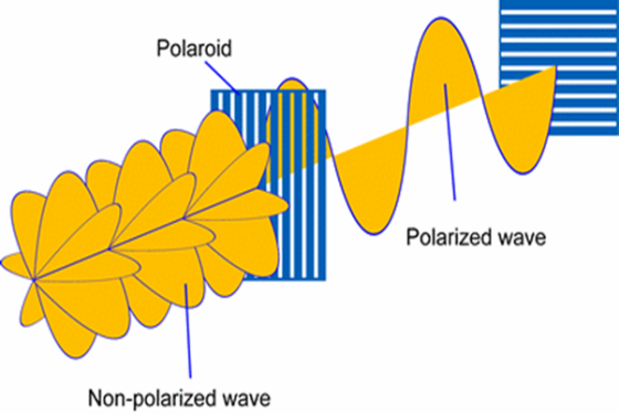 Polaroid Polarized wave Non-polarized wave
