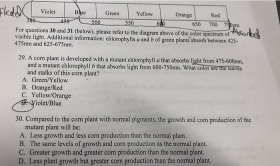 ktVioleG Orange 50 66 Green Yellow Red 0 650 700 750nm For questions 30 and 31 (below), please refer to the diagram above of