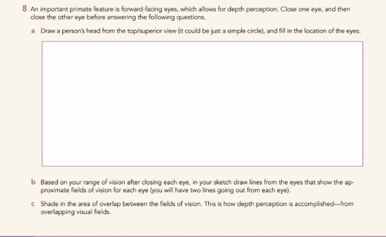8 An important primate feature is forward-facing eyes, which allows for depth perception. Close one eye, and then close the o