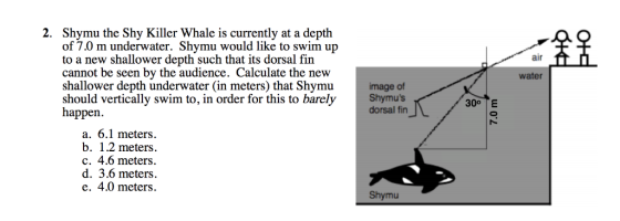 2. Shymu the Shy Killer Whale is currently at a depth of 7.0 m underwater. Shymu would like to swim up to a new shallower dep