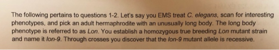 The following pertains to questions 1-2. Lets say you EMS treat C. elegans, scan for interesting phenotypes, and pick an adu