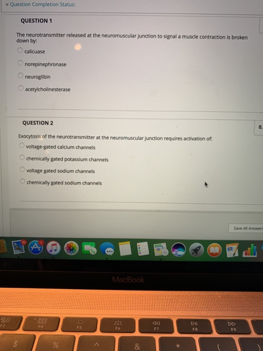 Question Completion Status: QUESTION 1 The neurotransmitter released at the neuromuscular junction to signal a muscle contrac
