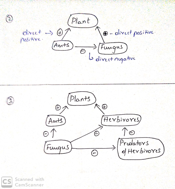 Plant olvect pasitive dvict pasitve (Ants Fgus divet ngatve (Plants Hevbivores, Amts Pridatovs ol HevbivoYes Funqus CS Scanne