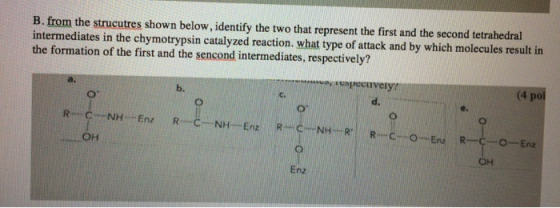 B. from the strucutres shown below, identify the two that represent the first and the second tetrahedral intermediates in the