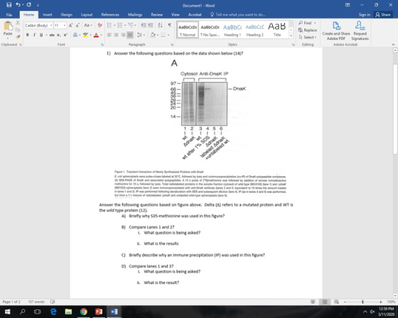 Document - Word Acrobat Tell me what you want to do.. File References Mailings Review View Share Home Imert Design Layout Cal