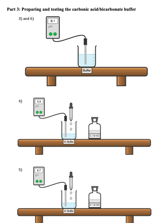Part 3: Preparing and testing the carbonic acid/bicarbonate buffer 3) and 6) Buffer 0.1 MHCI A: Buffer A: Buffer