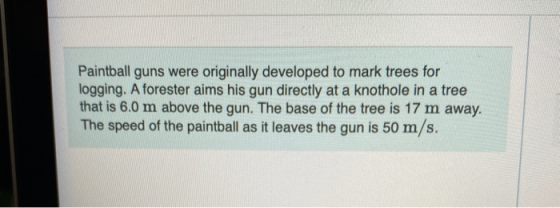 Paintball guns were originally developed to mark trees for logging. A forester aims his gun directly at a knothole in a tree