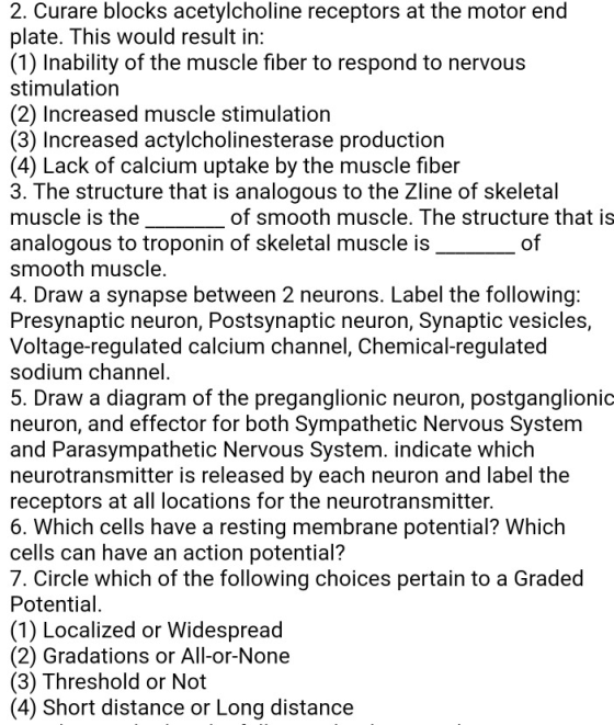 2. Curare blocks acetylcholine receptors at the motor end plate. This would result in: (1) Inability of the muscle fiber to r