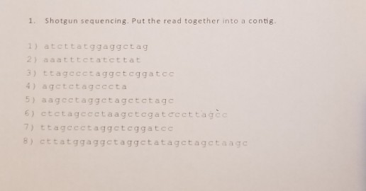 1. Shotgun sequencing. Put the read together into a contig 1) atcttatggaggct ag 2) aaatttctatcttat 3) ttagccctaggctcggatcc 4) agctctagcccta 5) aagcctaggctagctctagc 6) ctctageectaagctegateecttagc ) ttagccctaggcteggatec 8) cttatggaggctaggctatagctagctaagc
