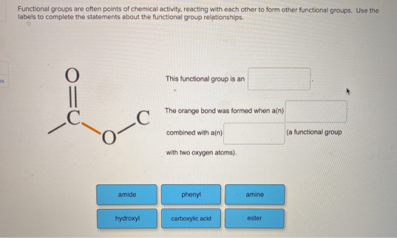 Functional groups are often points of chemical activity, reacting with each other to form other functional groups. Use the la