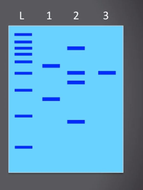 3 2 1