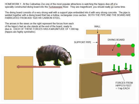 HOMEWORK 1: At the Cullowhee Zoo one of the most popular attractions is watching the hippos dive off of a specially construct