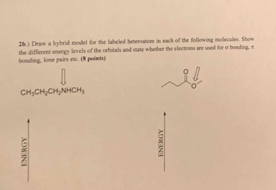 2b.) Draw a hybrid model for the labeled heteroatom in each of the following molecules, Show the different energy levels of t