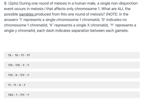 8. (2pts) During one round of meiosis in a human male, a single non-disjunction event occurs in meiosis I that affects only c