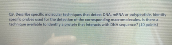 09. Describe specific molecular techniques that detect DNA, mRNA or polypeptide. Identify specific probes used for the detect