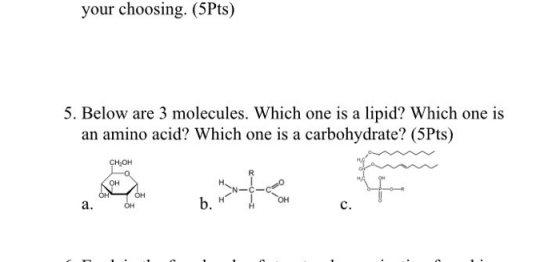 your choosing. (5Pts) 5. Below are 3 molecules. Which one is a lipid? Which one is an amino acid? Which one is a carbohydrate