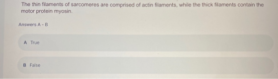 The thin filaments of sarcomeres are comprised of actin filaments, while the thick filaments contain the motor protein myosin