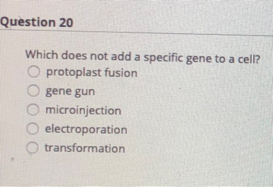 Question 20 Which does not add a specific gene to a cell? O protoplast fusion O gene gun O microinjection O electroporation O
