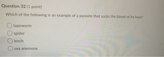 Question 32 (1 point) Which of the following is an example of a parasite that sucks the blood of its host? tapeworm spider le
